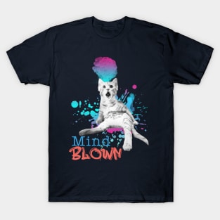 Mind Blown Cat T-Shirt